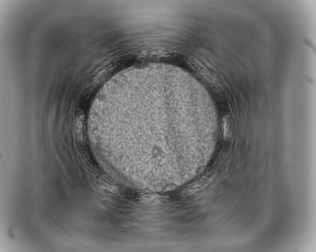 X0000096401059200802141513