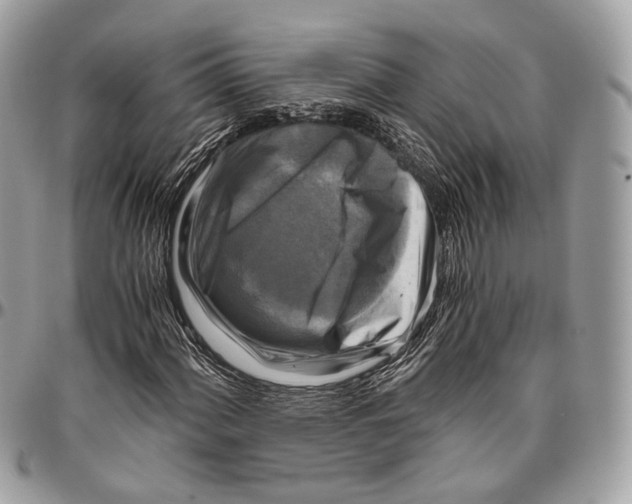 X0000096401060200802141513