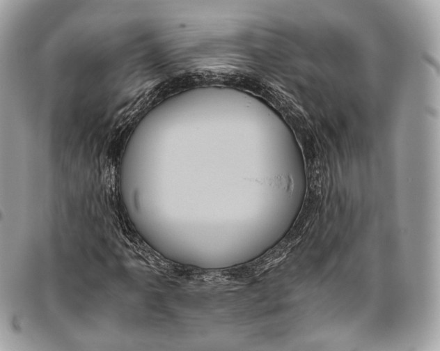 X0000096401061200802141513