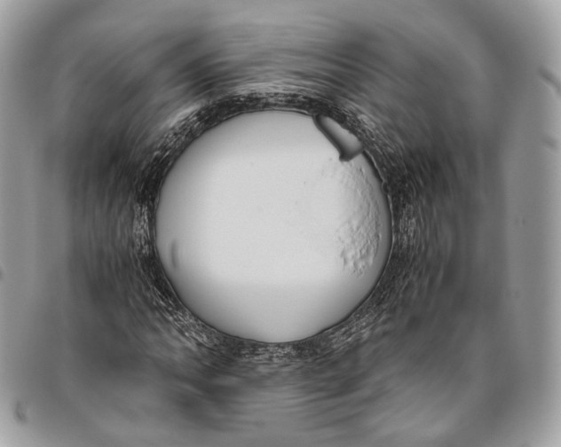 X0000096401062200802141513