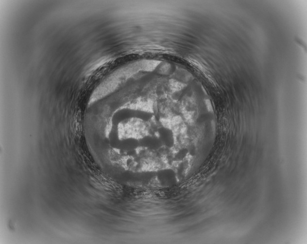 X0000096401063200802141513