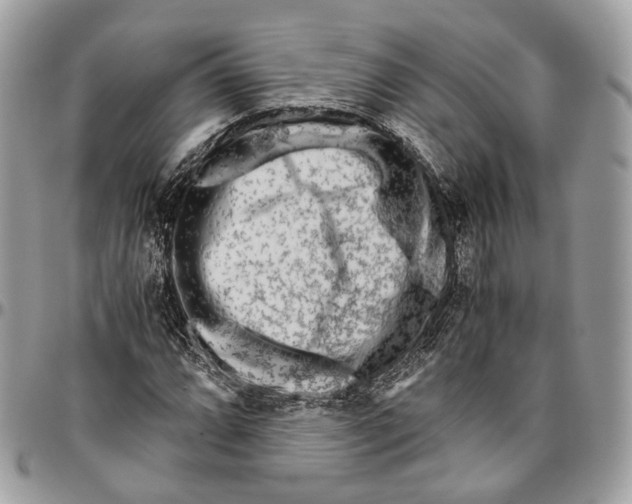 X0000096401064200802141513