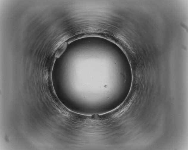 X0000096401065200802141513