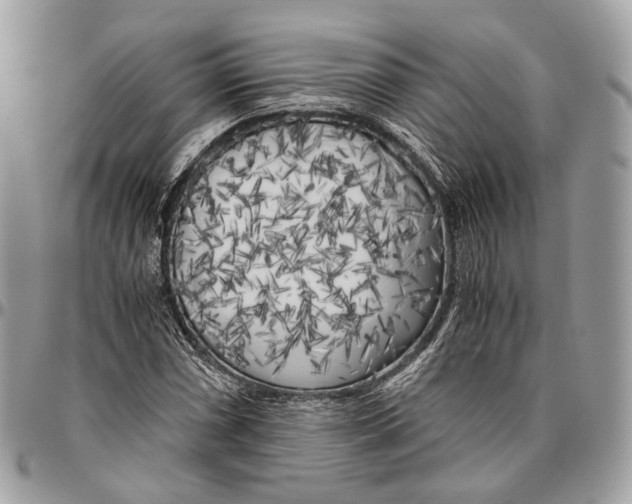 X0000096401066200802141513