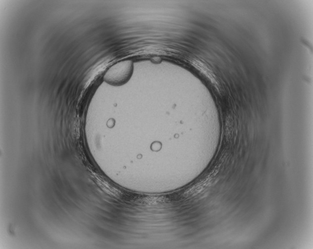 X0000096401067200802141513