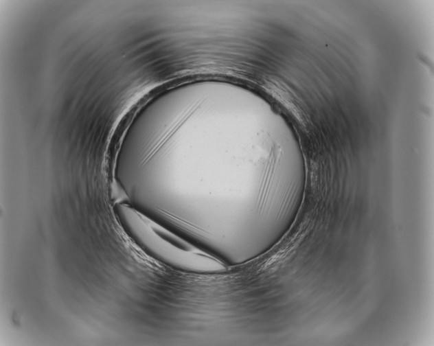 X0000096401068200802141513