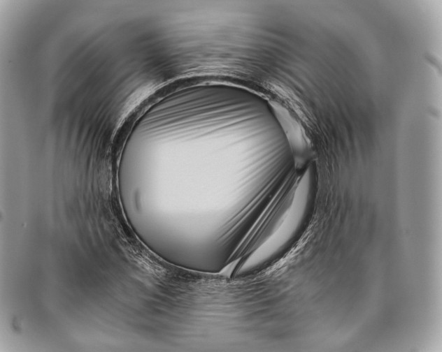 X0000096401069200802141513