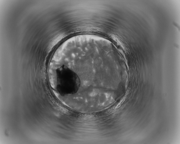 X0000096401071200802141513