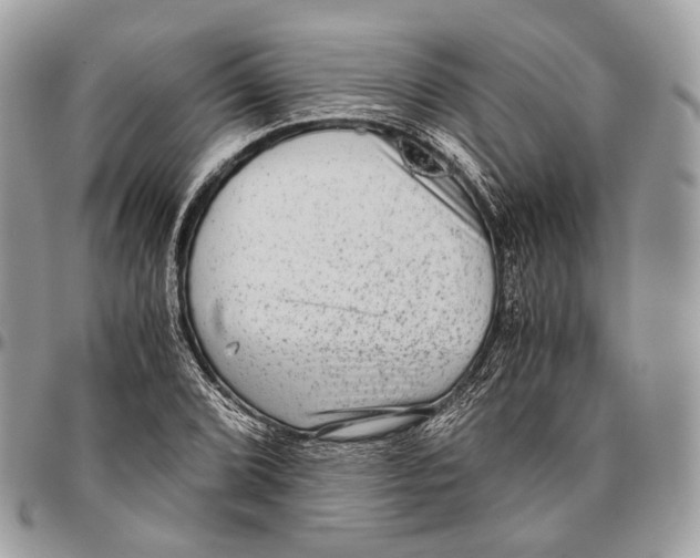 X0000096401072200802141513