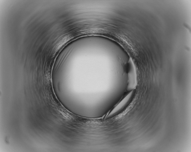 X0000096401073200802141513