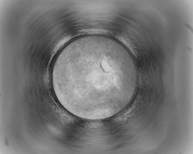 X0000096401074200802141513