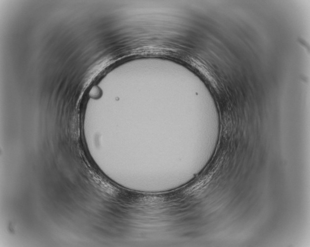 X0000096401075200802141513