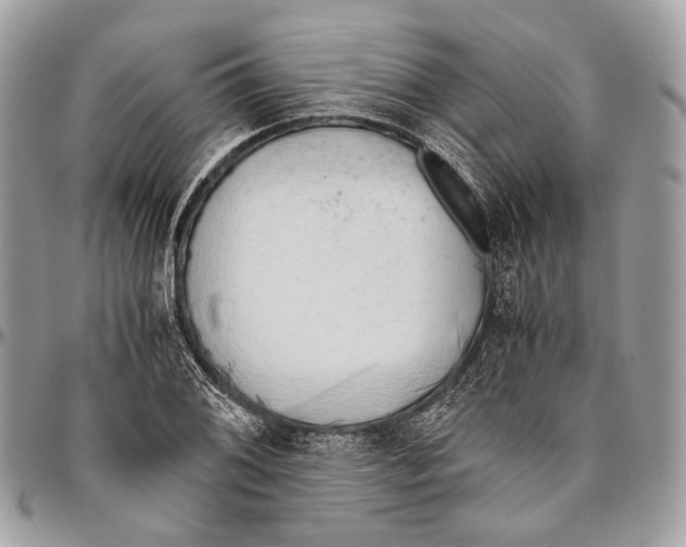 X0000096401076200802141513