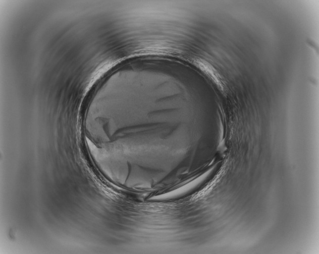 X0000096401077200802141513