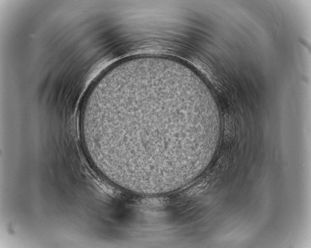 X0000096401078200802141513