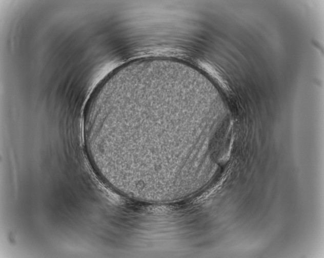 X0000096401079200802141513