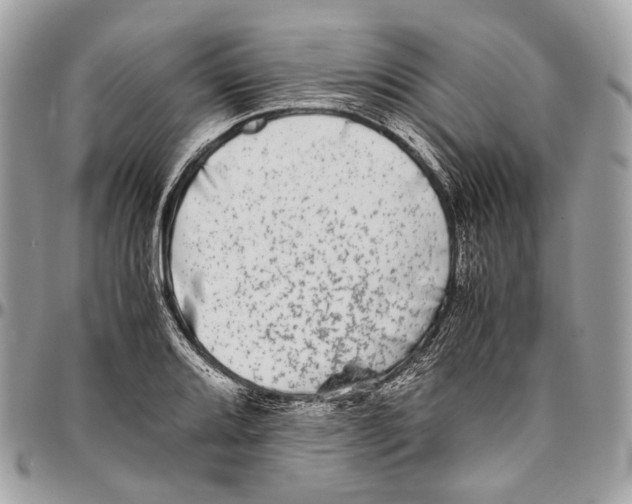 X0000096401080200802141513