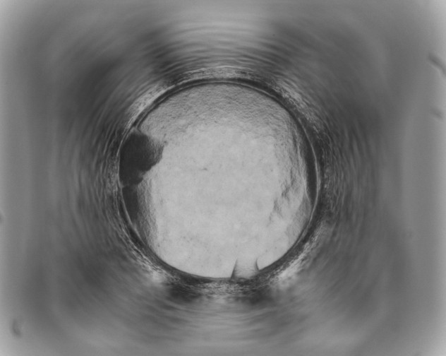 X0000096401081200802141513