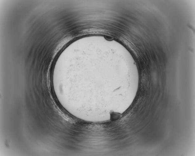 X0000096401082200802141513