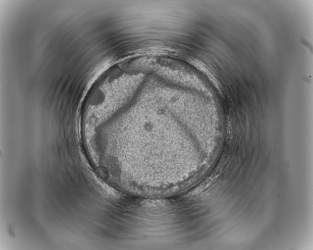 X0000096401083200802141513