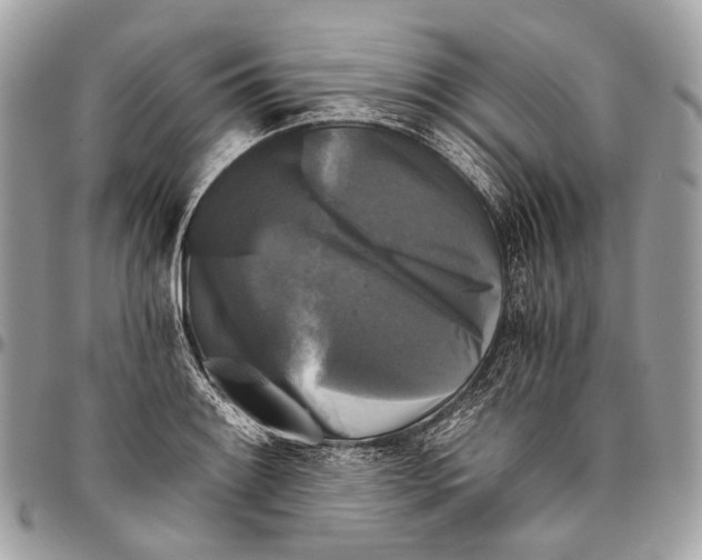 X0000096401084200802141513