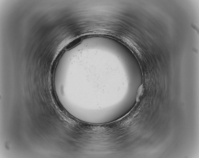 X0000096401085200802141513