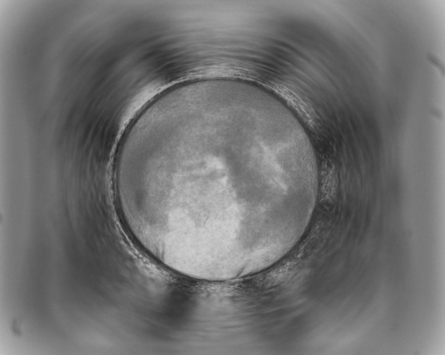 X0000096401086200802141513