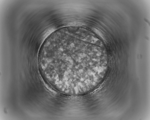 X0000096401087200802141513