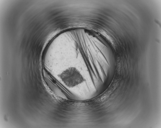 X0000096401088200802141513