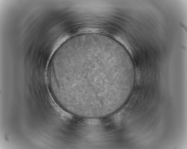 X0000096401090200802141513