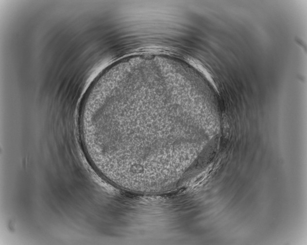 X0000096401091200802141513