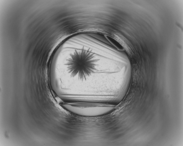 X0000096401092200802141512