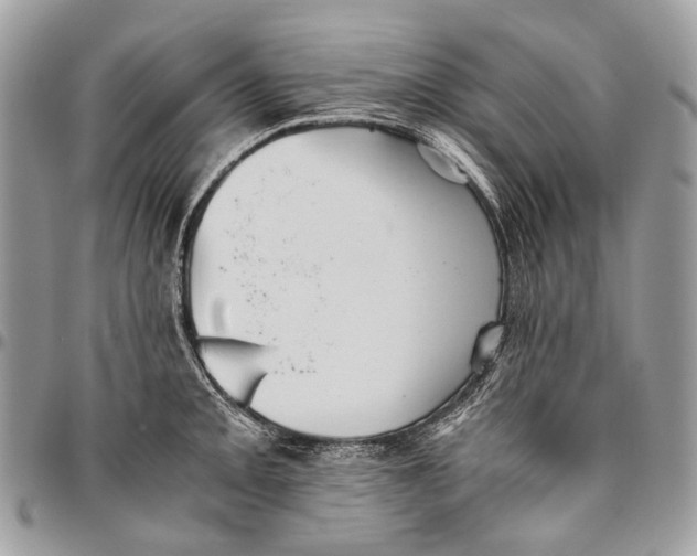 X0000096401093200802141512