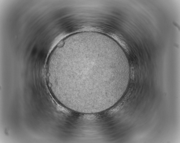 X0000096401094200802141512