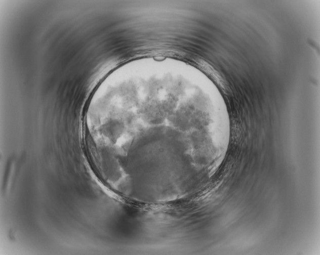 X0000096401095200802141512