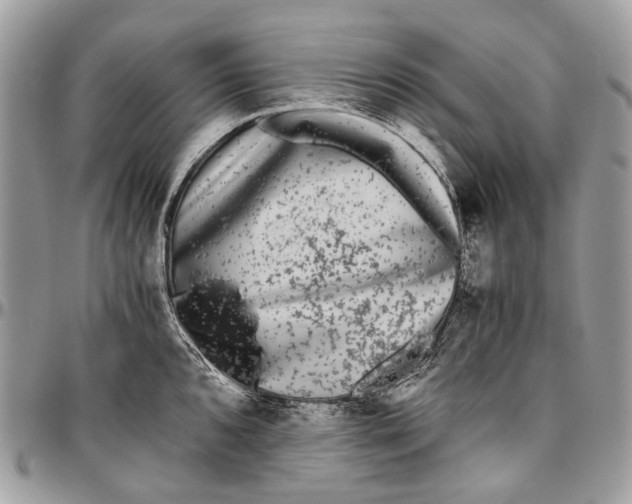 X0000096401096200802141512