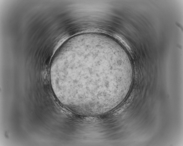 X0000096401097200802141512