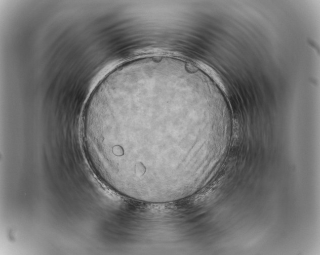 X0000096401098200802141512