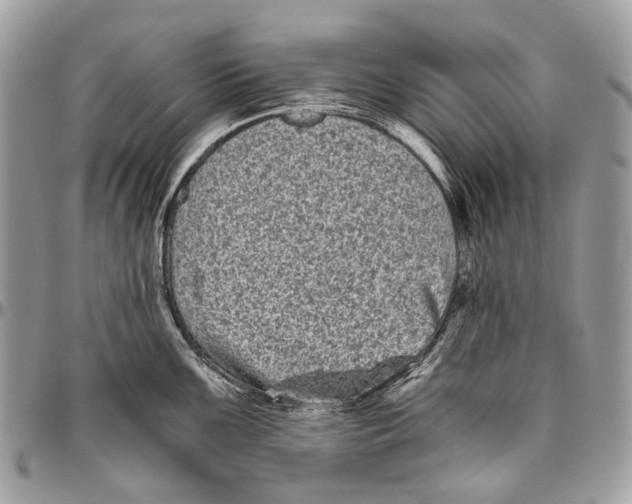 X0000096401099200802141512