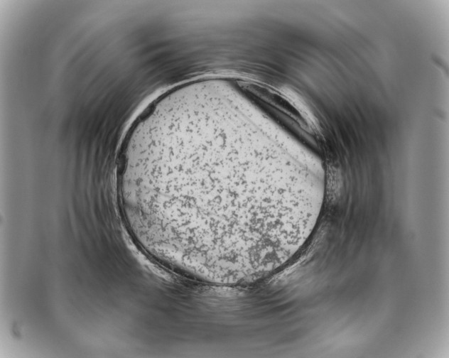 X0000096401100200802141512