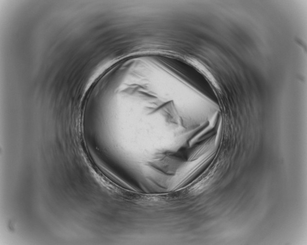 X0000096401101200802141512