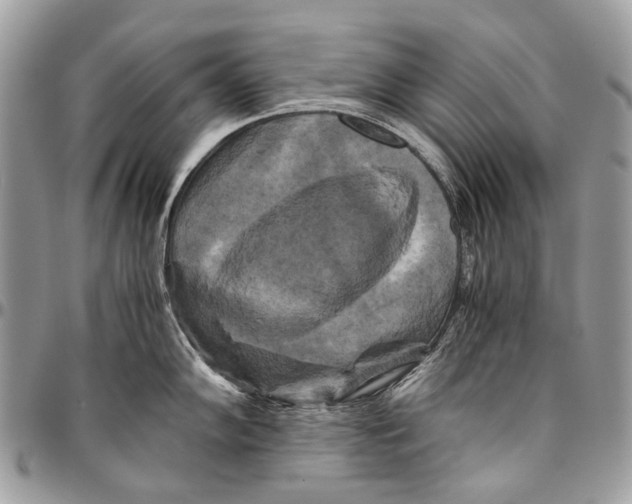 X0000096401102200802141512