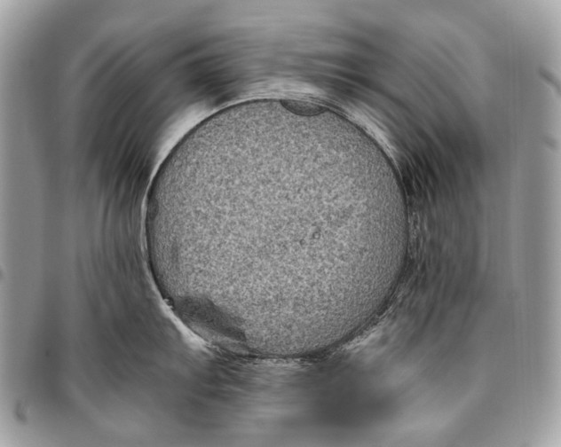 X0000096401103200802141512