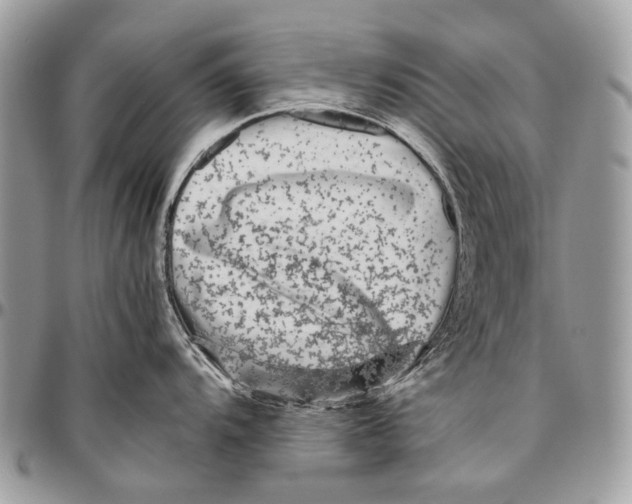 X0000096401104200802141512