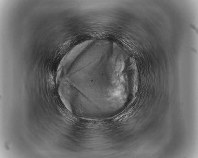 X0000096401106200802141512