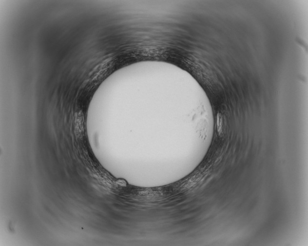 X0000096401107200802141512