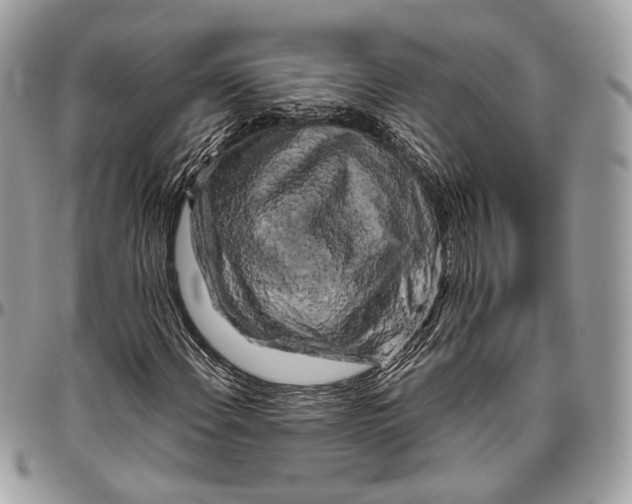 X0000096401108200802141512