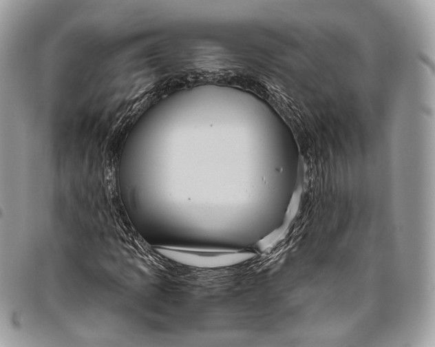 X0000096401109200802141512