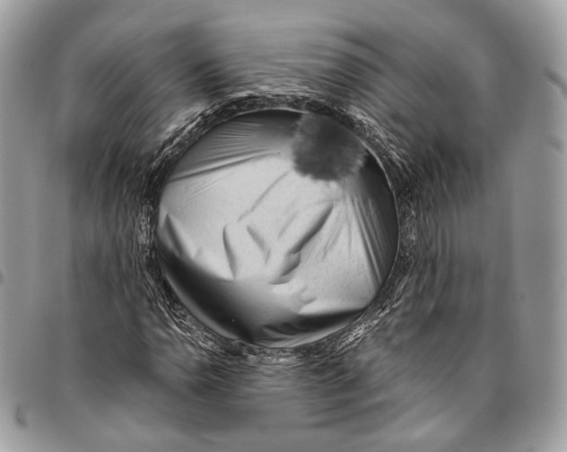 X0000096401110200802141512