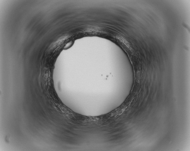 X0000096401111200802141512